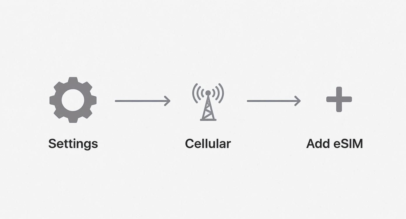 An infographic showing the steps to check for eSIM support on an iPhone, starting with Settings, then Cellular, and looking for the 'Add eSIM' option.