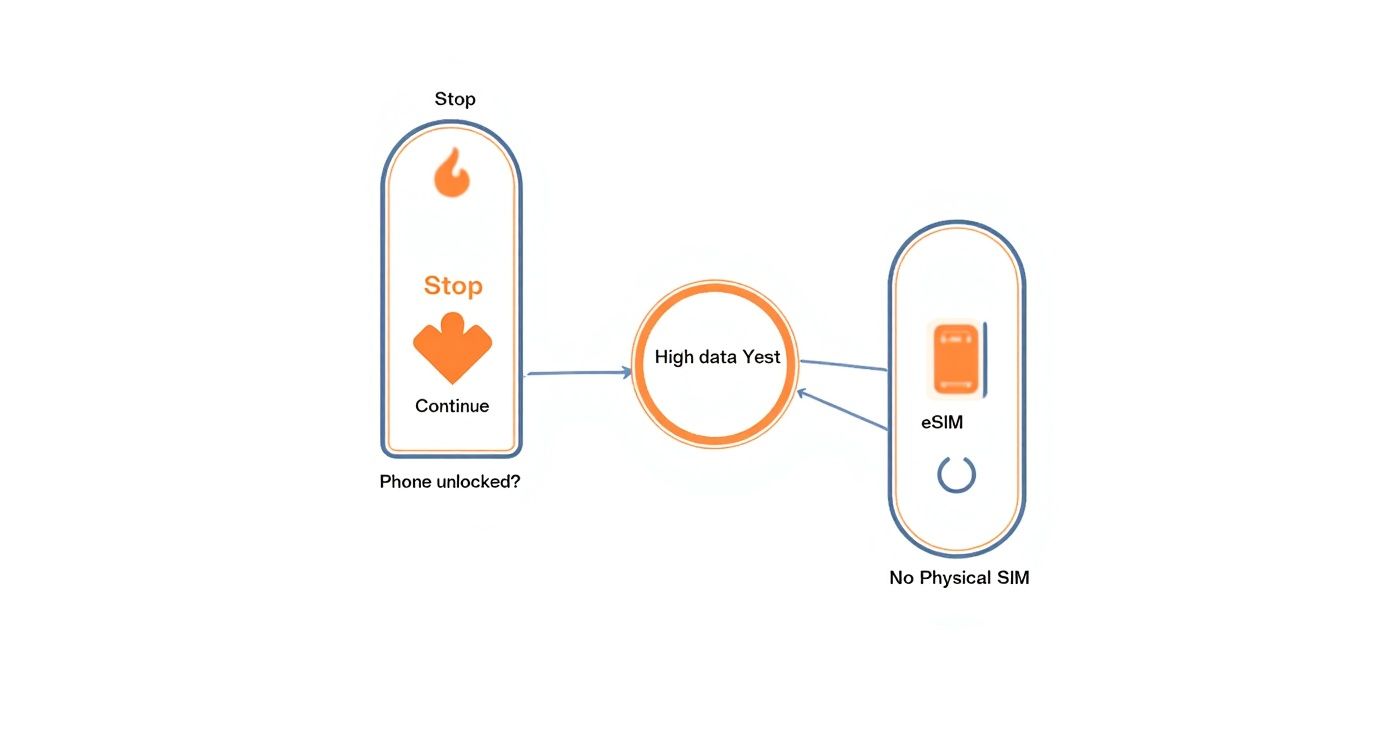 Infographic about best travel sim cards for europe