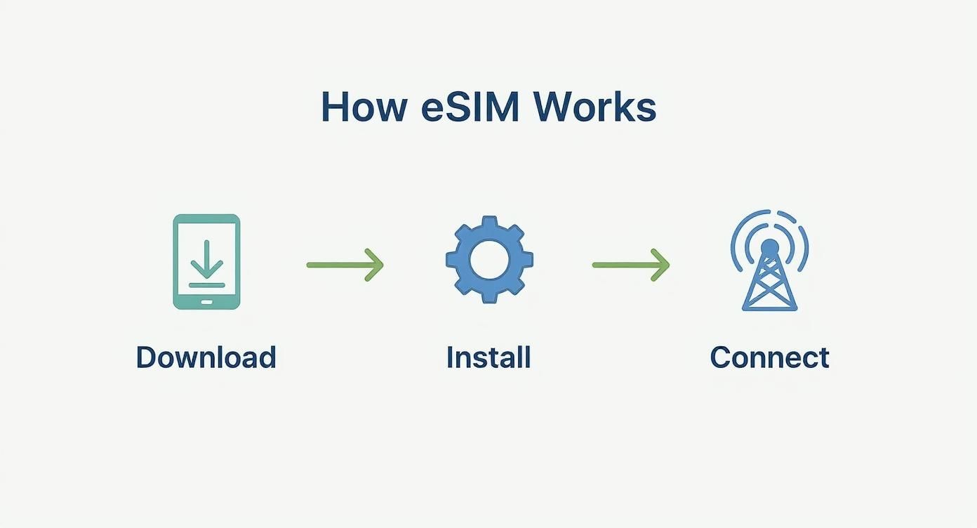Infographic about how does esim work