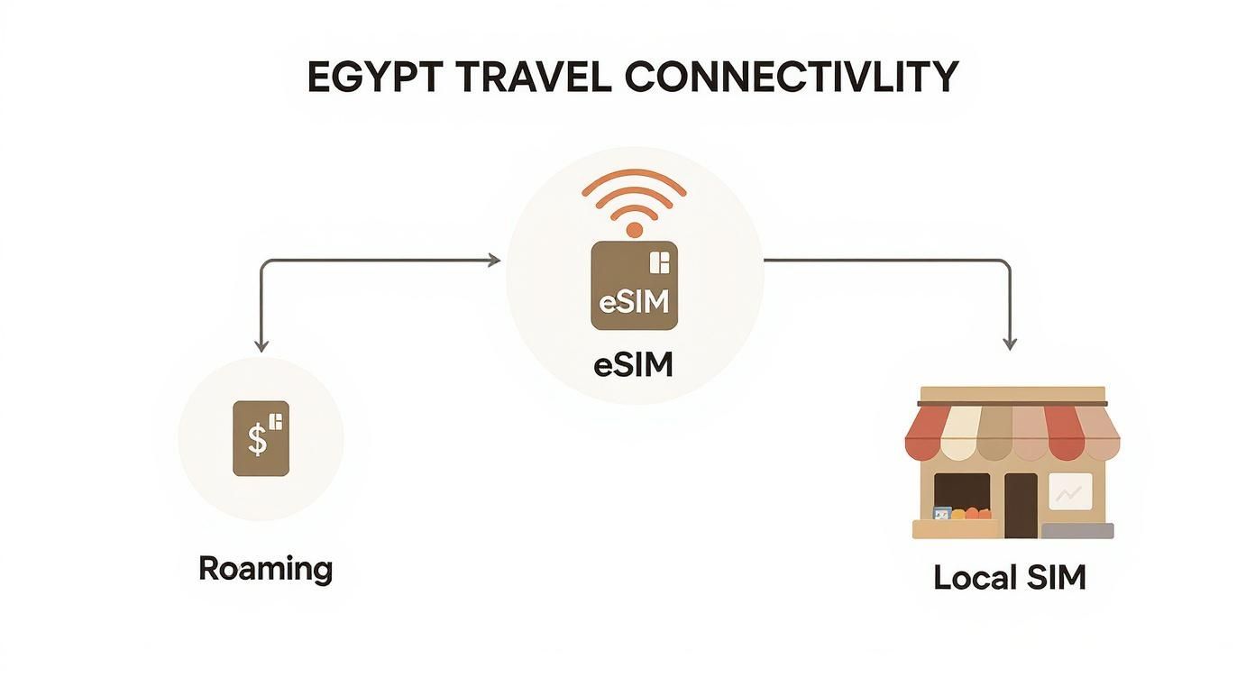 Diagram showing Egypt travel connectivity choices: eSIM, roaming, and local SIM options for travelers.