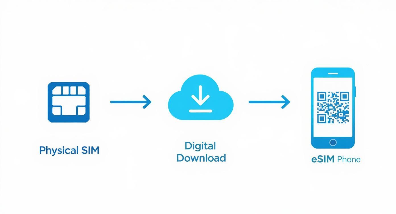 Infographic about what is an esim