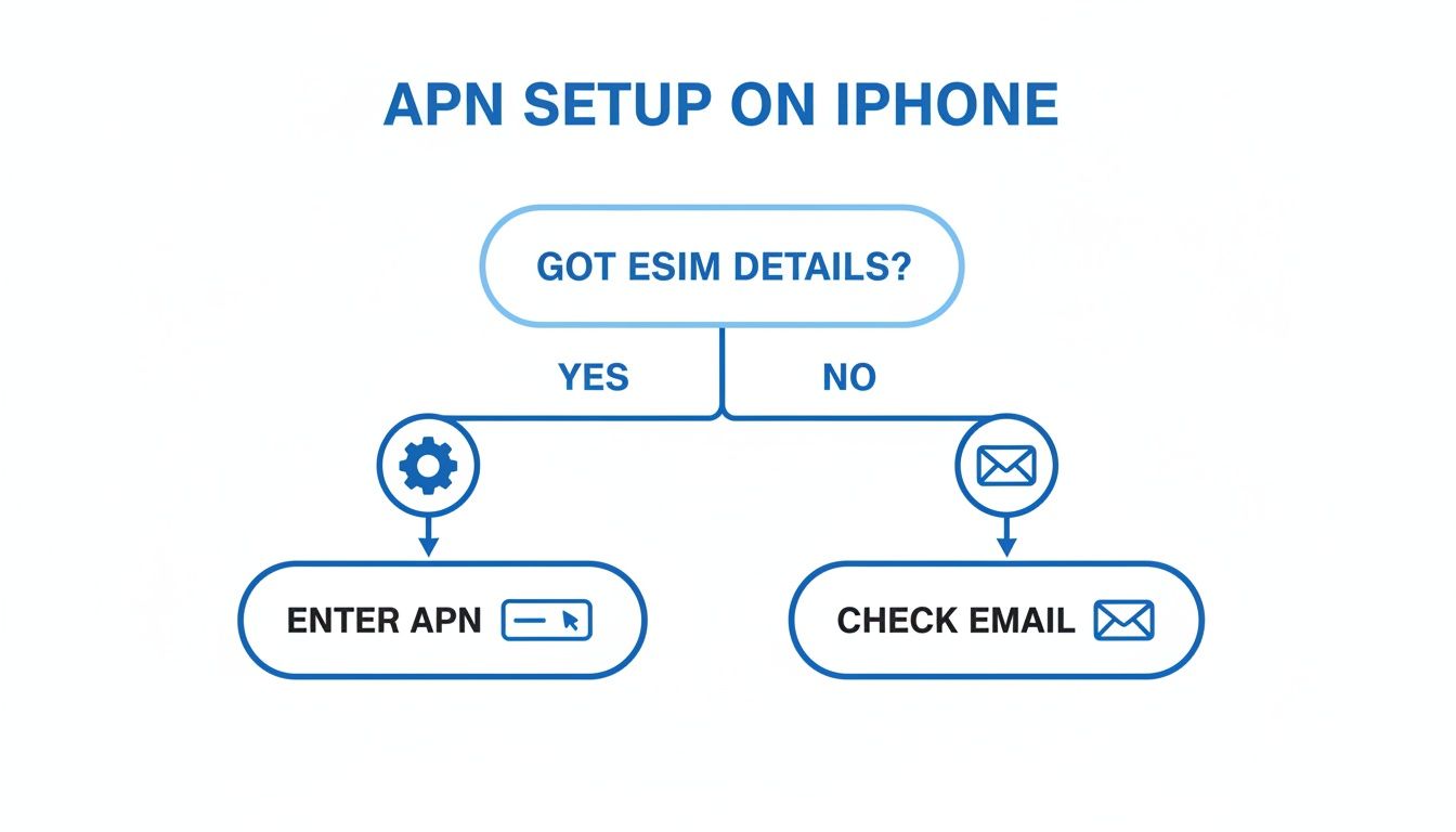 Flowchart depicting APN setup steps on iPhone, guiding users based on eSIM detail availability.