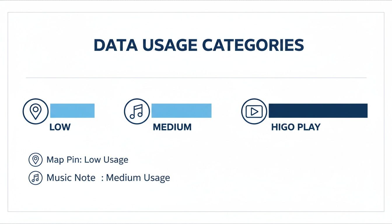 Infographic displaying data usage categories: Low (map pin), Medium (music note), and Higo Play (video icon).