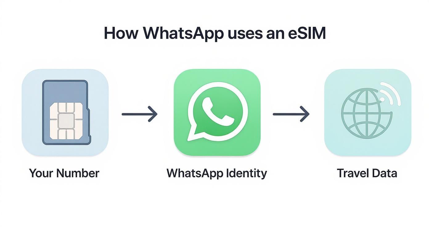 Diagram explaining how WhatsApp identity uses your number with an eSIM for travel data.