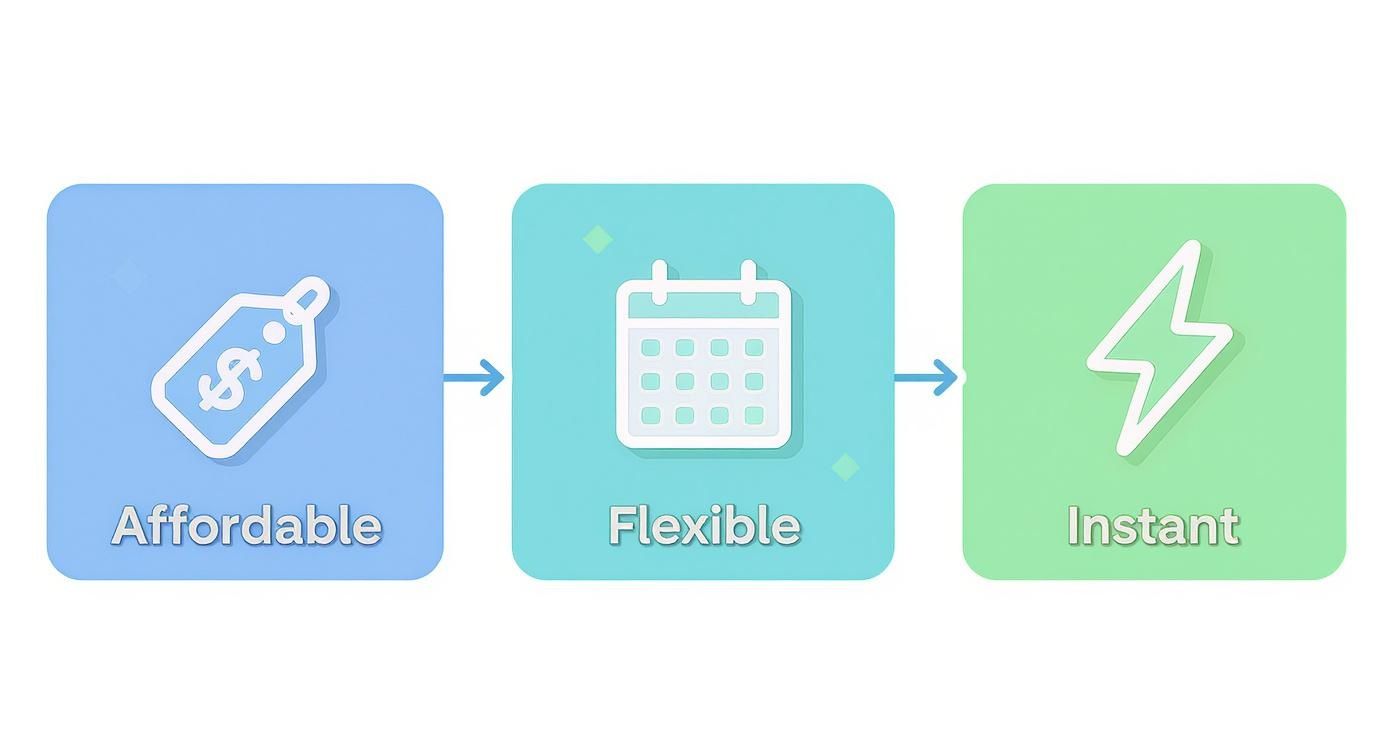 Diagram illustrating three key service features: affordable (price tag), flexible (calendar), and instant (lightning bolt).