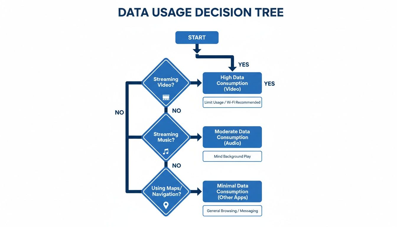 Decision tree flowchart illustrating data usage levels for streaming video, music, and navigation.
